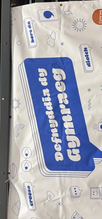 Defnyddia Dy Gymraeg Logo 