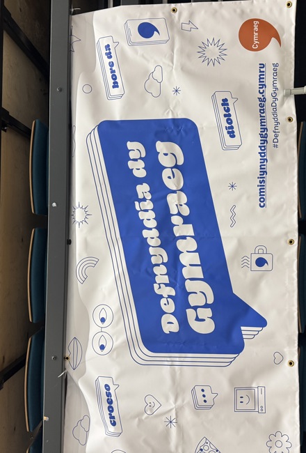 Defnyddia Dy Gymraeg Logo